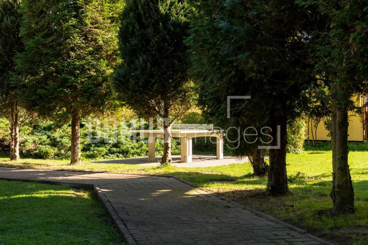 Ferienwohnung 3, Waldesruh Dierhagen Exteriér fotografie